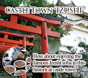 Castle Town IZUSHI