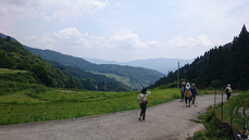 View from Doroike Rice Terrace